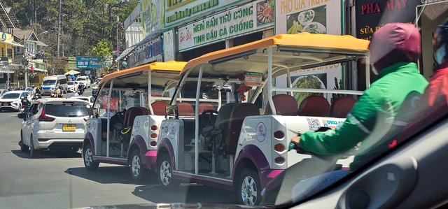 VinFast muốn Đà Lạt đi đầu chuyển đổi giao thông xanh- Ảnh 2. VinFast muốn Đà Lạt đi đầu chuyển đổi giao thông xanh- Ảnh 2.