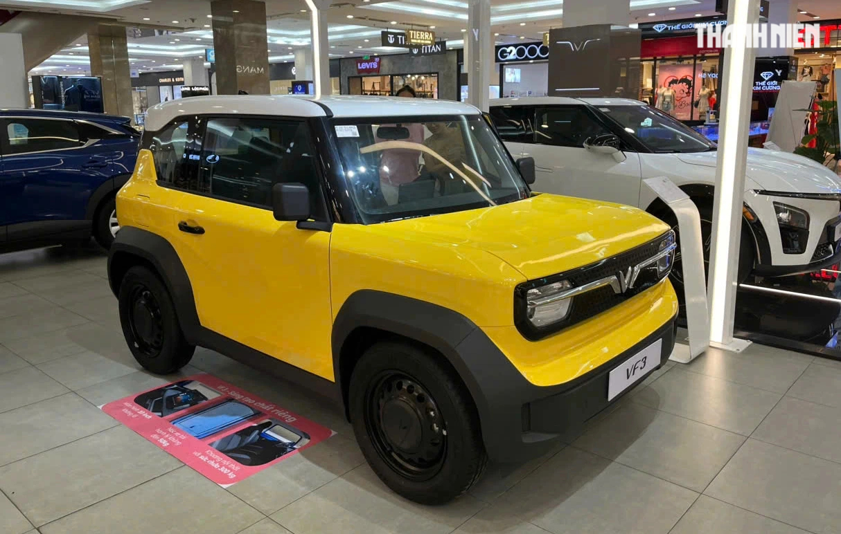 10 ô tô bán chạy nhất Việt Nam tháng 2.2025: Xe điện VinFast áp đảo - Ảnh 2.