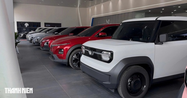 Bức tranh ô tô điện Việt Nam: VinFast dẫn dắt thị trường, các hãng vẫn… ‘dò đường’ - Ảnh 3.
