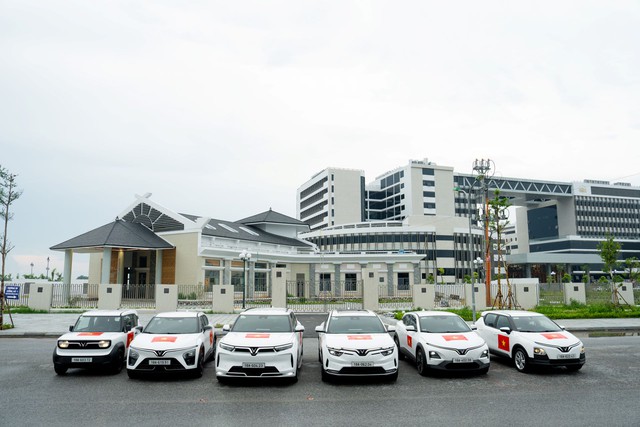 VinFast tặng 100.000 bộ decal Quốc kỳ Việt Nam mừng đại lễ 2.9 - Ảnh 1.